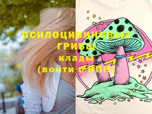 метадон Богданович