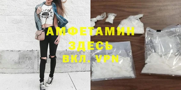 метадон Богданович