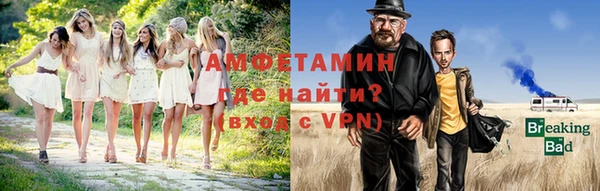 метадон Богданович